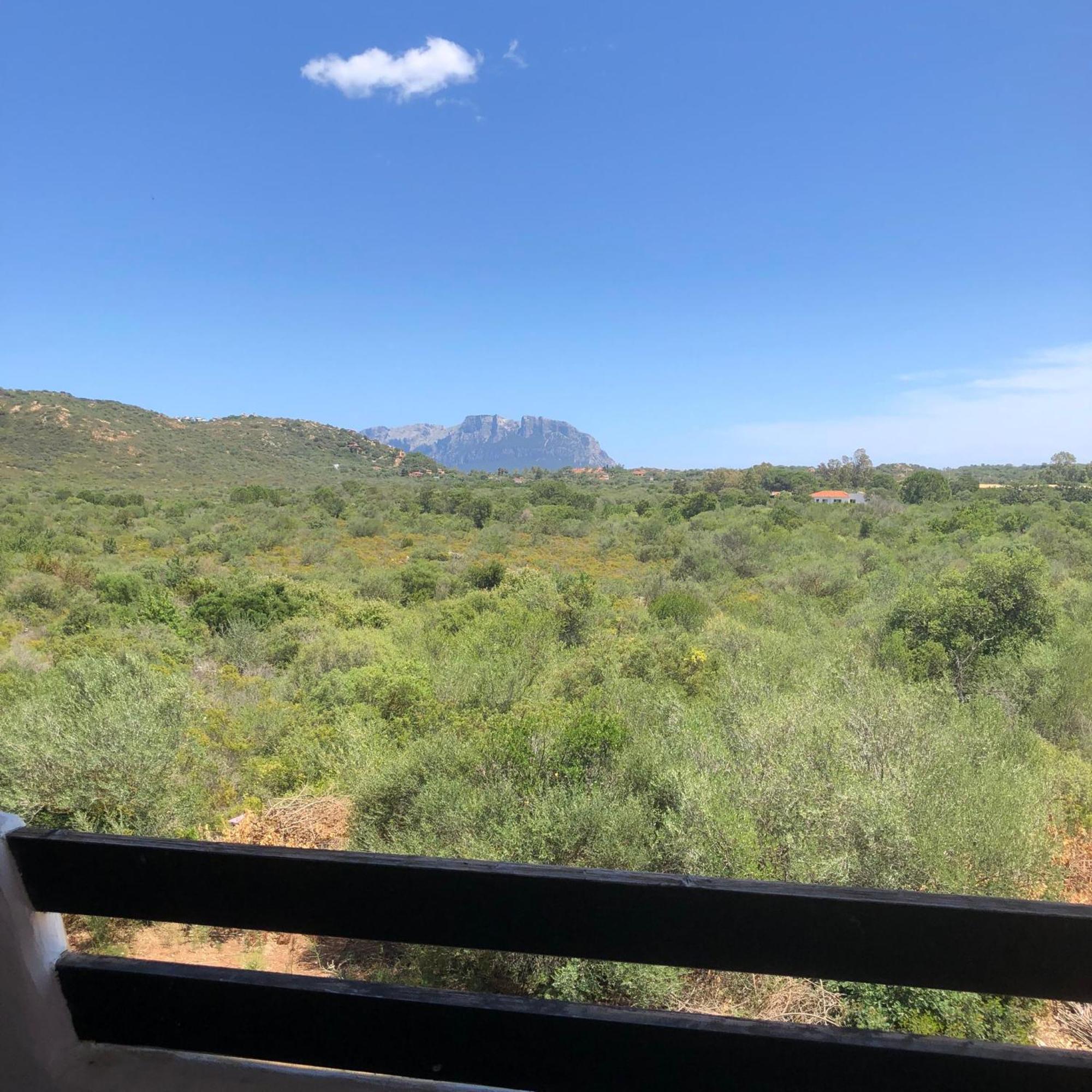 Gabbiano House Holiday home Olbia
